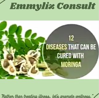 12 DISEASES THAT CAN CURED WITH MORINGA
