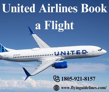 Top Vacation Destinations in New York City and How to Book Your United Airlines Flight