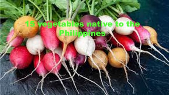 15 Vegetable Native to the Philippines