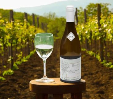 All you need to know about white Burgundy wine