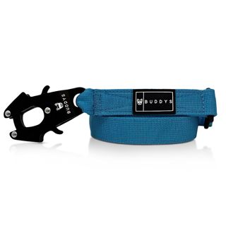 Choosing the Right Dog Restraint: Collar vs. Harness