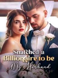 snatched a billionaire to be my husband Novel by Green Flower pdf free download
