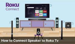 connect external speakers to Roku TV