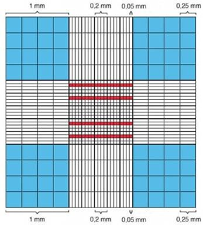 FACTORS AFFECTING HAEMOCYTOMETER COUNTS OF SPERM CONCENTRATION IN HUMAN SEMEN