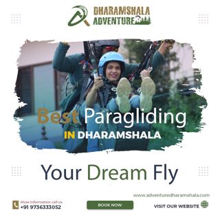 Thrill Above the Himalayas: Paragliding in Dharamshala and Mcleodganj