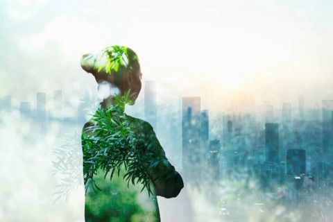 The Rise of Sustainable Living: Trends Shaping the Future"