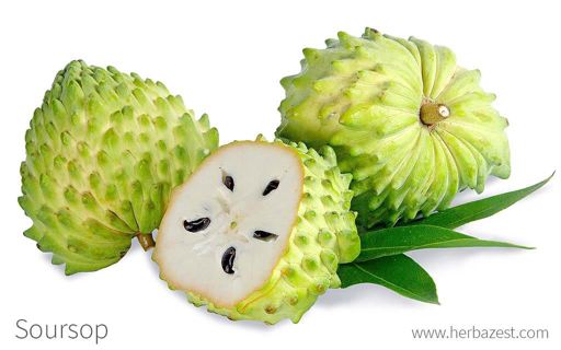 Some health benefits of soursop fruits