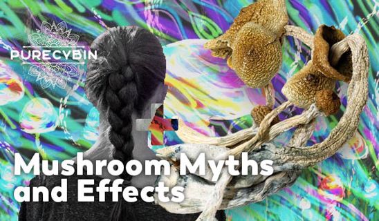 Mushroom Myths and Effects