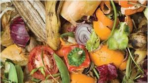 Commercial Food Waste Recycling Services: A Sustainable Solution