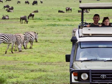 Crafting Your Dream Tanzania Safari Package - 7 Essential Planning Steps