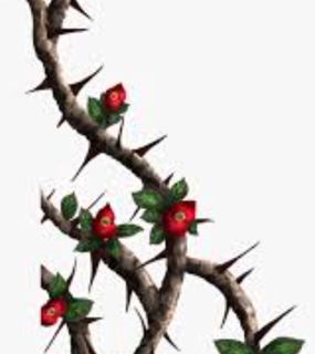 Thorns
Love at first sight
I saw thou with my two eyes
I hoped thou brings the light.