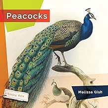 R.E.A.D Book (Choice Award) Peacocks