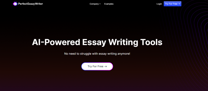 What makes PerfectEssayWriter.ai Essay Topic Generator valuable for professionals and students?