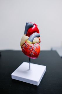 Heart Diseases (CARDIO)