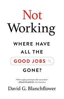 [VIEW] [PDF EBOOK EPUB KINDLE] Not Working: Where Have All the Good Jobs Gone? by  David G. Blanchfl