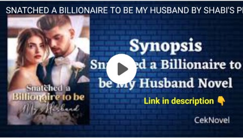 SNATCHED A BILLIONAIRE TO BE MY HUSBAND Novel BY SHABI'S PEN pdf free download