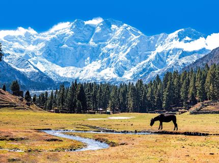 Journey to Nanga Parbt Pakistan