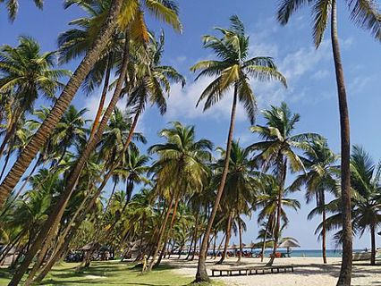 Top 5 Beautiful Resorts in Lagos Tourists Can Visit During Holidays