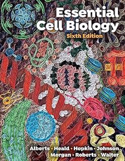 [PDF] [Essential Cell Biology (Sixth Edition)] [PDF - KINDLE - EPUB - MOBI]