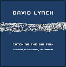 Get PDF EBOOK EPUB KINDLE Catching the Big Fish: Meditation, Consciousness, and Creativity by David