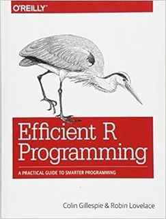 READ [KINDLE PDF EBOOK EPUB] Efficient R Programming: A Practical Guide to Smarter Programming by Co