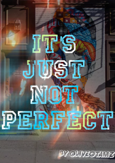 Never Say Perfect