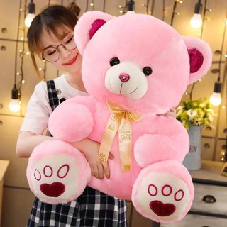 My Heart's Love Affair with the Cute Teddy Bear