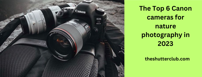 The Top 6 Canon cameras for nature photography in 2023