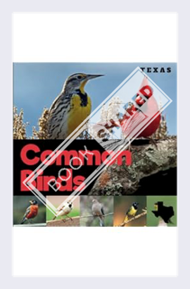 (Free Pdf) Common Birds of Texas: A Beginner-Friendly Picture Guide Book for Birdwatching and Identi
