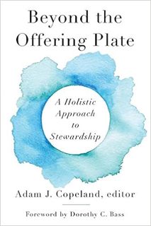 EPUB Beyond the Offering Plate: A Holistic Approach To Stewardship