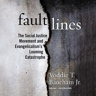 VIEW KINDLE PDF EBOOK EPUB Fault Lines: The Social Justice Movement and Evangelicalism’s Looming Cat