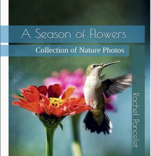 [ePUB] Download A Season of Flowers: Collection of Nature Photos