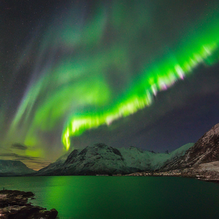 Behold the Arctic sky's enchanting dance: Aurora Borealis, the Northern Lights.