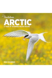 Free Pdf Audubon Arctic Wall Calendar 2024: A Year of Stunning Polar Nature by Workman Calendars
