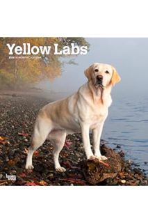 Ebook Free Yellow Labrador Retrievers | 2024 12 x 24 Inch Monthly Square Wall Calendar | BrownTrout
