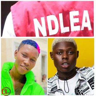 News: NDLEA bursts Zinoleesky and Mohbad's home, arrest everyone including Ladies