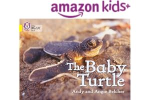 [Read Book] [The Baby Turtle: Band 03/Yellow (Collins Big Cat)] BBYY Andy Belcher [eBook]  ebook