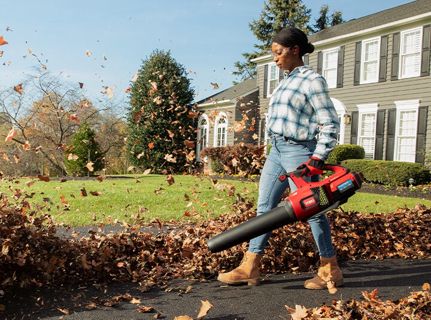 How to Maintain a Leaf Blower Vacuum Mulcher