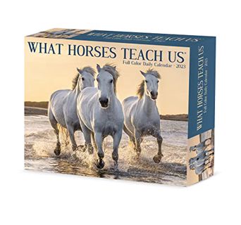 VIEW PDF EBOOK EPUB KINDLE What Horses Teach Us 2023 Box Calendar by  Willow Creek Press 📄
