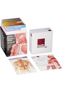 PDF Download Anatomy & Physiology Flash Cards by Scientific Publishing Scientific Publishing