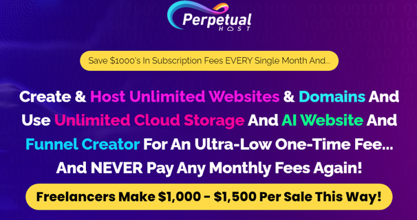 PERPETUAL HOST Review 2024- Is it the Ultimate Website Hosting Solution?