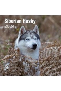 PDF Ebook MegaCalendars - Siberian Husky Calendar 2024 - Dog Breed Wall Calendar by MegaCalendars