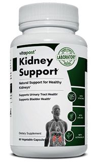 Nourishing Support for Healthy Kidneys