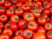 Benefits Of Tomato