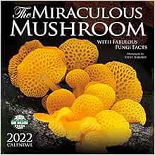 VIEW EBOOK EPUB KINDLE PDF The Miraculous Mushroom 2022 Wall Calendar: With Fabulous Fungi Facts by
