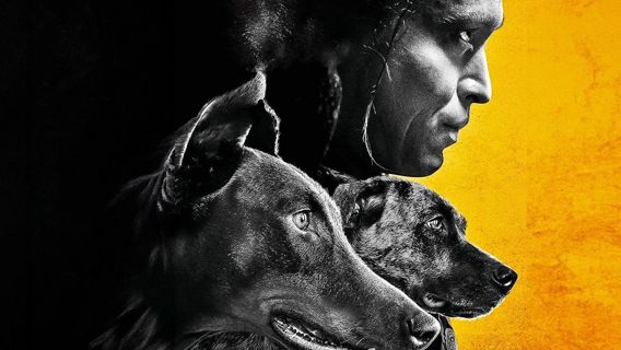 Ver Dogman (2023) Película completa Español y Latino