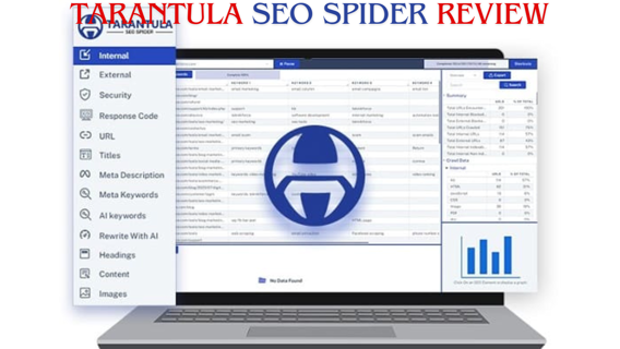 Tarantula SEO Spider Review ✍️ A Game-Changing SEO Solution