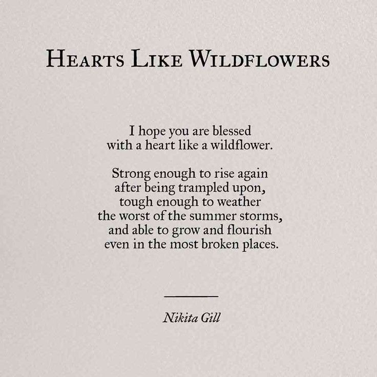 Hearts Like Wildflowers