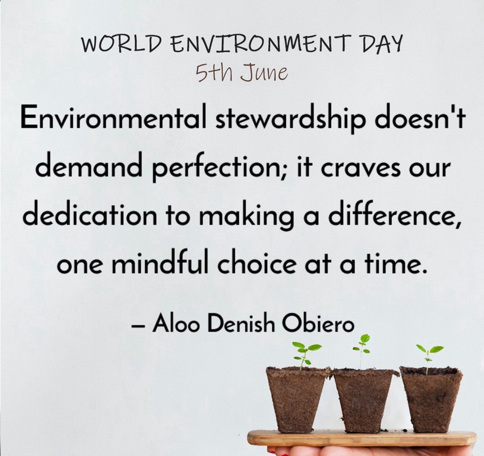 My Word for 2026: Stewardship - Motivated Mom, image size:960x903